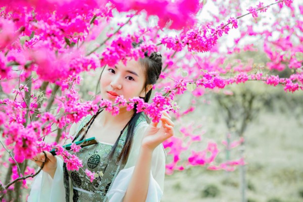 武汉洪山广场,茶香四溢的养生小筑 武汉洪山广场,茶香四溢的养生小筑