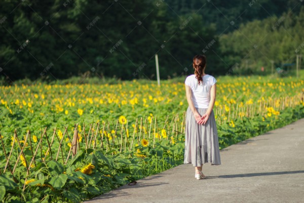 武汉男人茶香聚会，品味人生新境界！